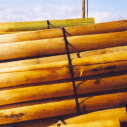 Bundled fence posts treated with copper naphthenate