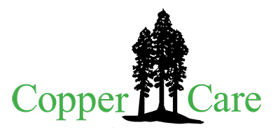 Copper Care Wood Preservatives